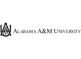 partner six
